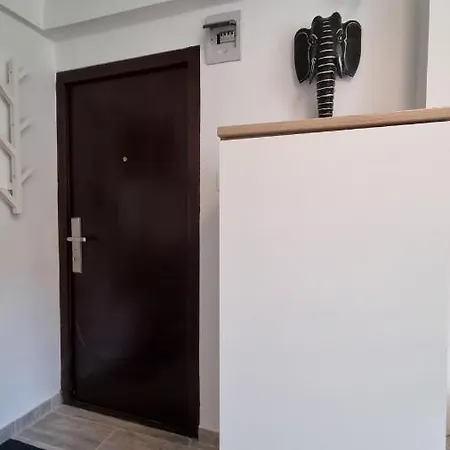 Elephant-in-a-room W Glass Bath Apartment