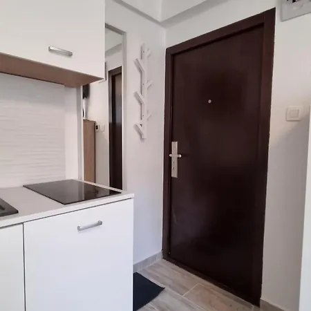 Elephant-in-a-room W Glass Bath Apartment *