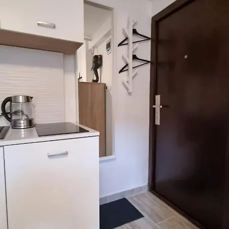 Elephant-in-a-room W Glass Bath Apartment *