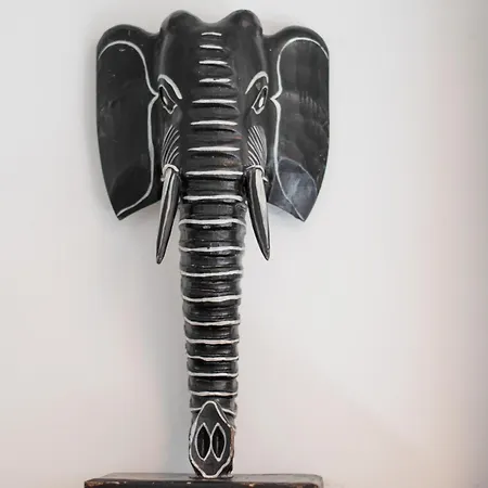 Elephant-in-a-room W Glass Bath